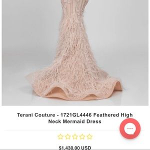 Beautiful beaded feather gown